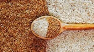 سعر كيلو الأرز الشعير اليوم يشهد استقرارًا مع حركة بيع بطيئة في الأسواق